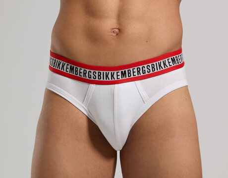 BRIEFS TRI-PACK, MULTICOLOR, hi-res-1