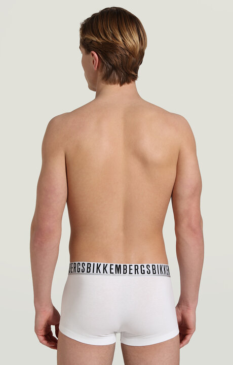 TRUNK, WHITE, hi-res-1